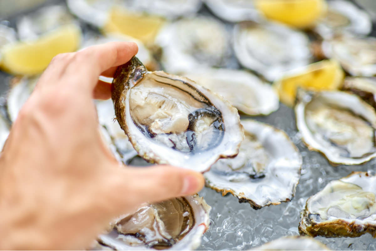 oyster lawyer vibrio colorado image of eating oysters denver personal injury lawyer