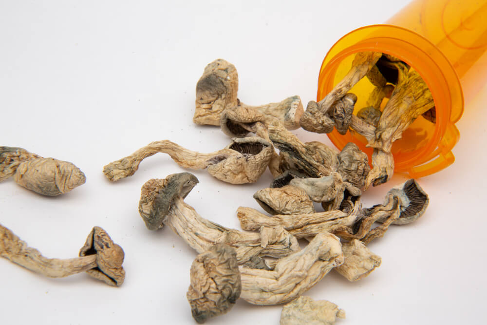 Colorado's new mushroom legalization - don't drive while high on mushrooms. Photo of prescription shrooms