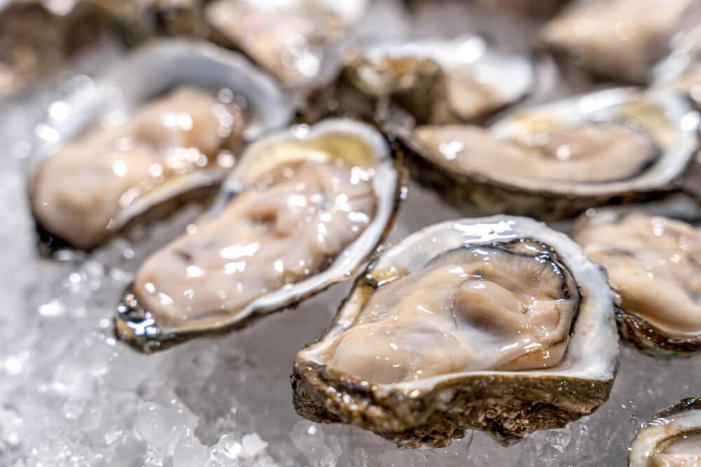 Raw oysters can kill you
