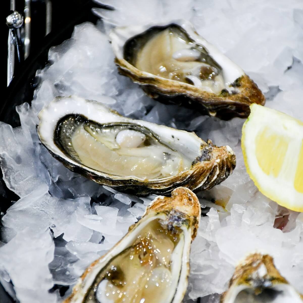 Raw oysters can give you vibrio, a deadly bacteria